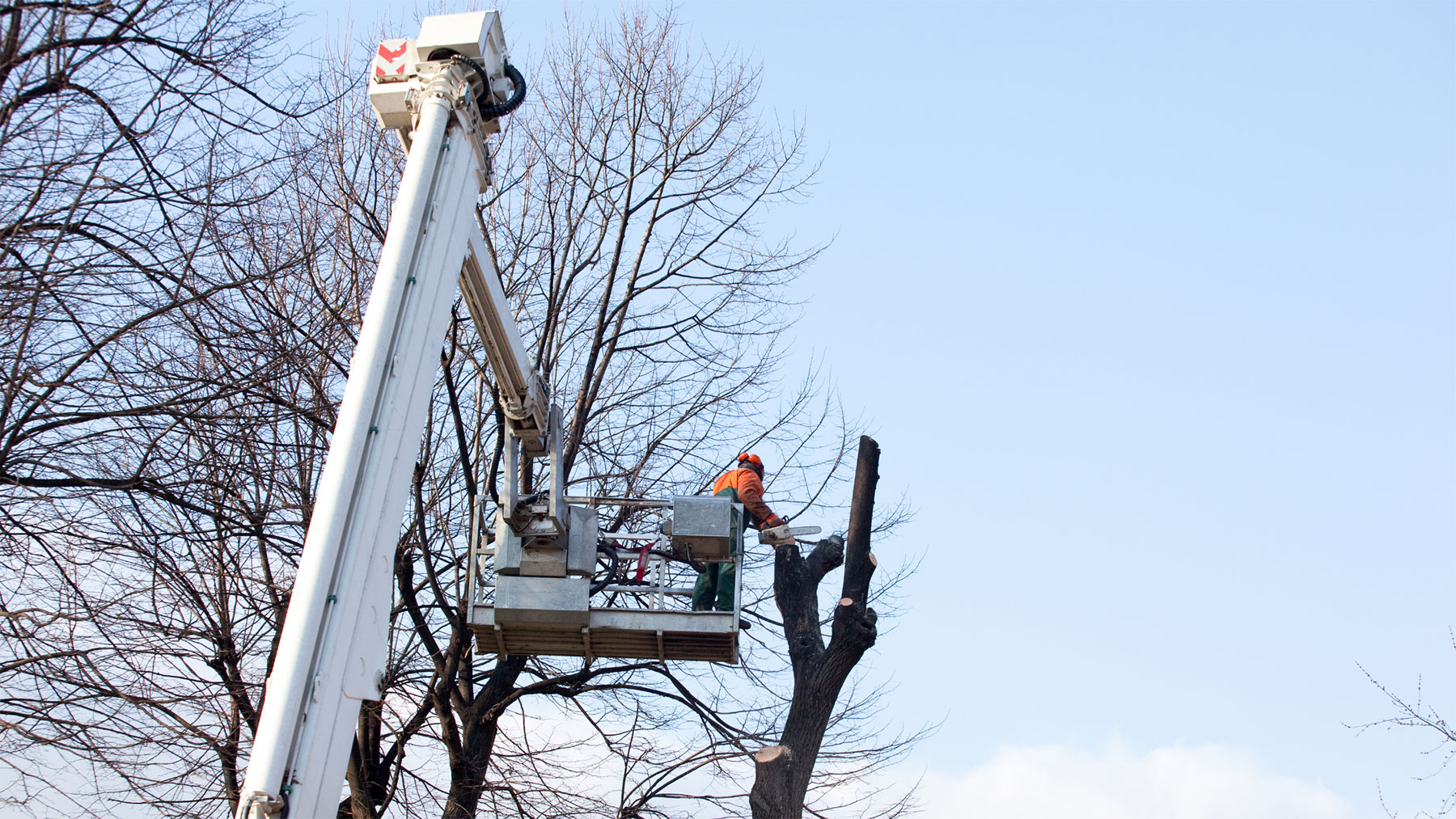 Choosing the right tree pruning method for your tree