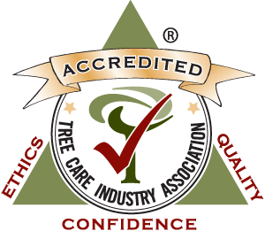 Arbor Aesthetics earns Accreditation by the TCIA